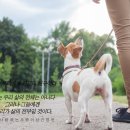 이쁘개멋지개 이미지