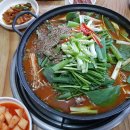 승원보아 염소나라 이미지