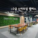 [공지] 구글 X 부산시, 구글 스타트업 캠퍼스로 창업 재무 회계 교육 무료 수강 후기! [부산 인사이트]