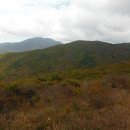 화엄사 주차장 이미지