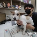 누리봄동물병원 이미지