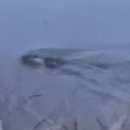 금마관광지 이미지