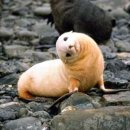 대전승마장 이미지