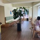 올모스트선데이 | [수성구] 황금동 신상카페! 올모스트선데이! 솔직후기!