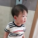 진남한의원 Daum카페