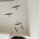 코코호도 신대방점 | [휴학생일상] 제목 추천해주세요 :-)