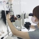 메이플동물병원 이미지