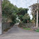 금성동 교차로 3 이미지