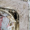 재들세천 | 대구 달성군 다사 세천 공장 화장실 누수 방수공사