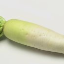 세컨브레스 이미지