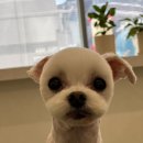 (주)송아 이미지