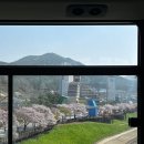 썸데이 게스트하우스 | 단양 숙소 추천 남한강 뷰 썸데이게스트하우스