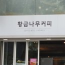 카페황금나무 이미지