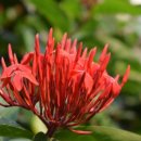 플러스메디칼 이미지