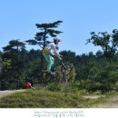 양양군 BMX경기장 이미지