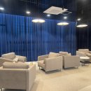 사라나디자인 이미지