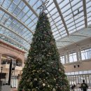 만년스퀘어 | 빕스 딸기 신메뉴 출시 부산W스퀘어점 , 내돈내산