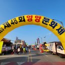 남대천포남체육공원 | 양양 여행 양양 남대천에서의 양양 문화제축제 방문 후기