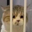 그놈막창 | 일기_머리털나고 처음으로 고소하러간 후기.