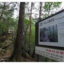 (완료) 치악산 구룡사~상원사 종주 (조출) 이미지