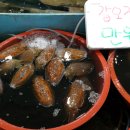 대신수산횟집식당 - 18746 | 대신수산횟집식당