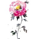 모란이피기까지 이미지