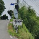 올랑고디또 이미지