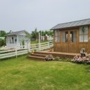 부엉이 농장 | 청주 부엉이소풍 피크닉장소대여 후기