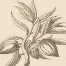 범선농장 | 베라짜노 끼안티 클라시코 2010 더블 매그넘 시음 후기