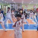 신명태권도장 이미지
