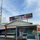 동해안 붉은 대게 이미지