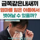 스마일결혼상담소 | 세종시 공무원 음주운전 사고로 엄마를 잃은 아이. 은둔에서 탈출할 수 있을까? 금쪽같은 내 새끼 131화