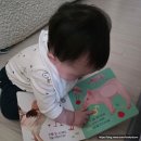 (주)아이토이 | 블루래빗 오감발달 첫 토이북 풀세트 핫딜 가격 | 10개월 아기 놀이 루틴 4주 후기