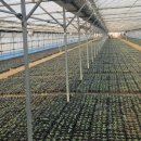 비산3동-3 이미지