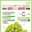 포도메디칼
