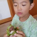 금오암소한마당 이미지