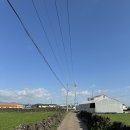 다인 앞 | 반려견 동반 가능 제주 애월 다인리조트 3박 투숙 후기