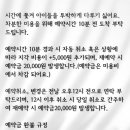 미소애견 미용실 이미지