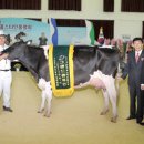 사곡목장 이미지