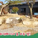 메타쉐콰이어 오토 캠핑장 이미지