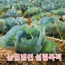 규정행정사사무소 이미지