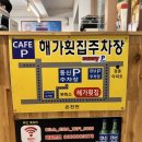 온천천카페거리 해가횟집 내돈내산후기