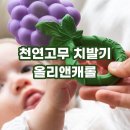 자연주의치아사랑 | 아기 치발기 천연고무 올리앤캐롤 실사용 후기 및 세척 관리 방법