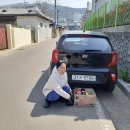 신용이용소