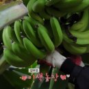김종태농장 이미지