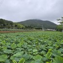 사회복지법인내원마하병원 이미지