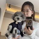청주사진관 애견컬러증명사진&amp;애견동반프로필 오늘여기우리 촬영 후기