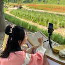 서라벌한복 이미지