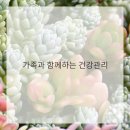 고려가정의학과 이미지