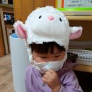 Hello Kitten 이미지